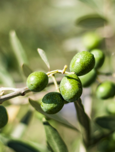 asiagame(中国)官方网站