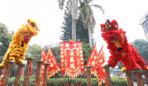 龙腾狮跃，，，共铸绚烂未来！！！